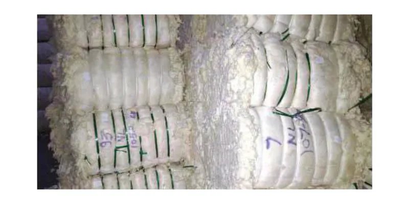 TN Open-End Spinning Mills Warn of 50% Production Cut Amid Rising Cotton Waste Costs